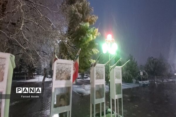 کاشمر هم رنگ برف را دید