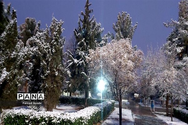 کاشمر هم رنگ برف را دید