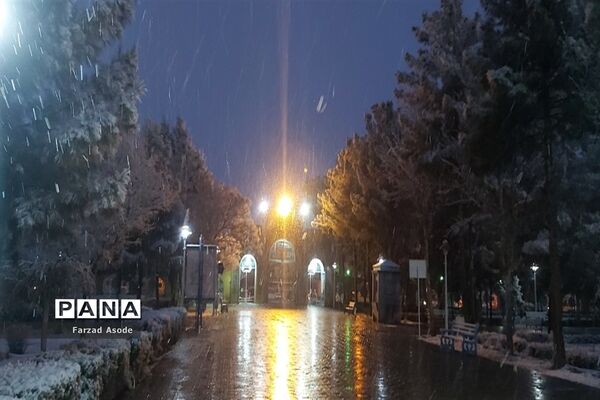 کاشمر هم رنگ برف را دید