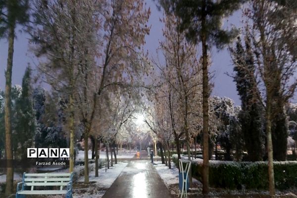 کاشمر هم رنگ برف را دید