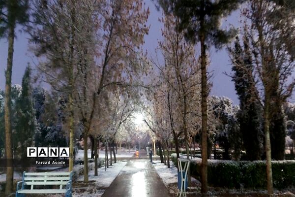 کاشمر هم رنگ برف را دید