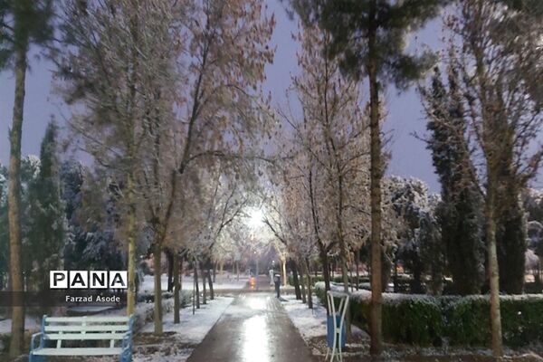 کاشمر هم رنگ برف را دید
