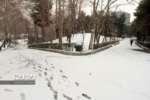 بارش برف زمستانی در تهران