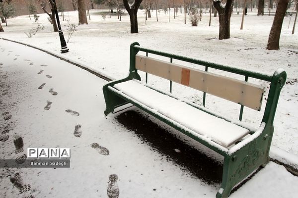 بارش برف زمستانی در تهران