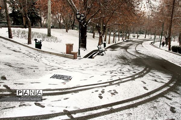 بارش برف زمستانی در تهران