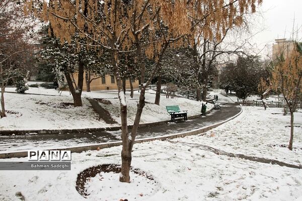 بارش برف زمستانی در تهران