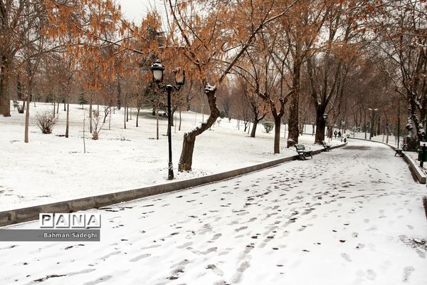 بارش برف زمستانی در تهران