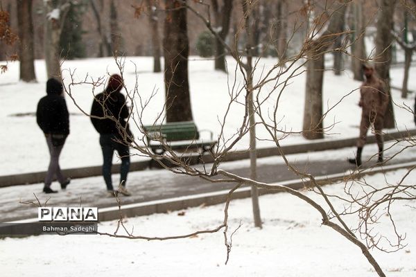بارش برف زمستانی در تهران