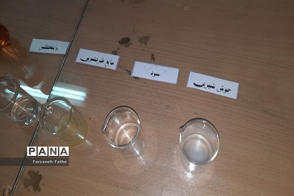 برگزاری تور علمی و کارگاه شیمی و فیزیک پژوهش سرای چهاردانگه