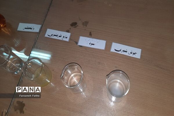برگزاری تور علمی و کارگاه شیمی و فیزیک پژوهش سرای چهاردانگه