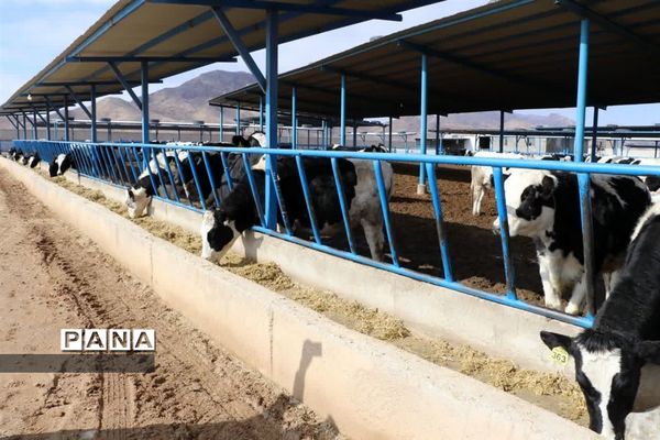 بازدید وزیر کشور از پروژه‌های ابرکوه