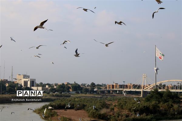 کارون؛ میزبان مهاجران مدیترانه‌ای