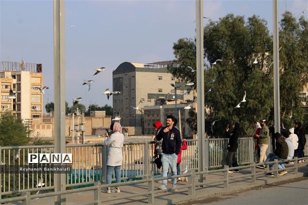 کارون؛ میزبان مهاجران مدیترانه‌ای