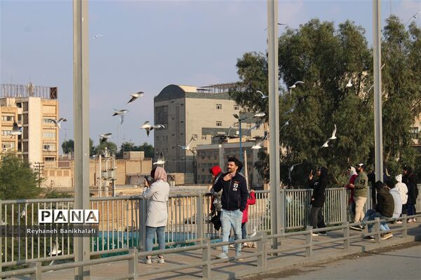 کارون؛ میزبان مهاجران مدیترانه‌ای