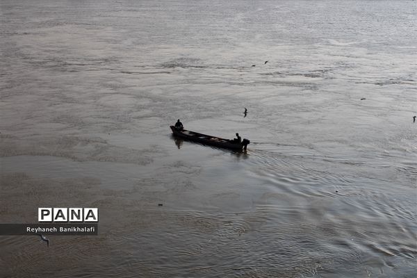 کارون؛ میزبان مهاجران مدیترانه‌ای