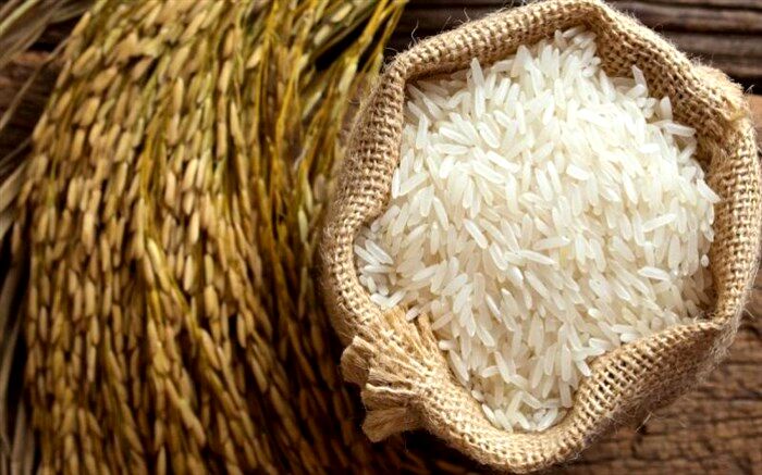 ویرایش ثبت سفارش‌های قدیمی واردات برنج باز شد