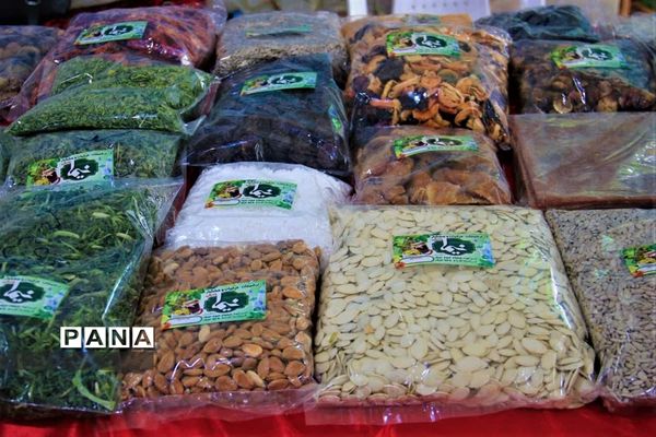 افتتاح نمایشگاه صنایع‌دستی، محصولات خانگی و غذای محلی در ابرکوه