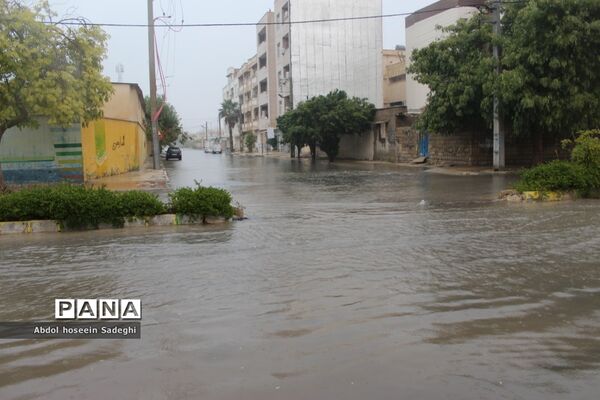 بارش باران و آبگرفتگی معابر در بوشهر