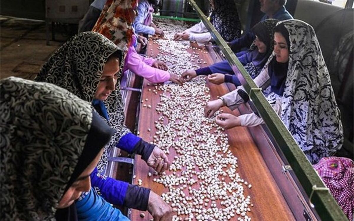 پرداخت تسهیلات اشتغالزایی در مناطق روستایی جلفا