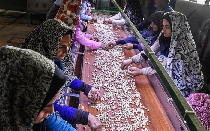 پرداخت تسهیلات اشتغالزایی در مناطق روستایی جلفا