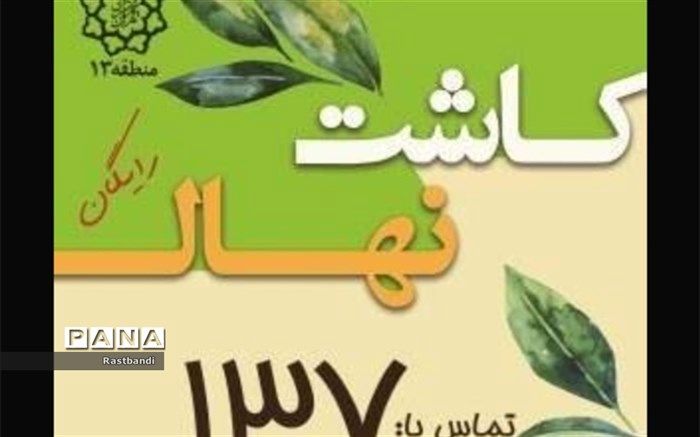 آغاز نهضت درختکاری در منطقه ۱۳