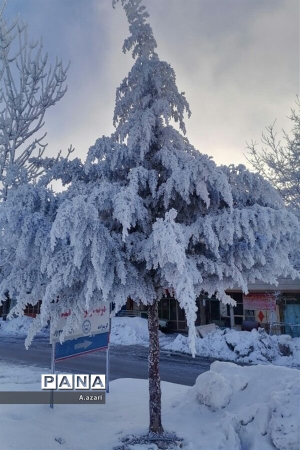 نقاشی زیبای طبیعت با بارش برف در شهرستان بن