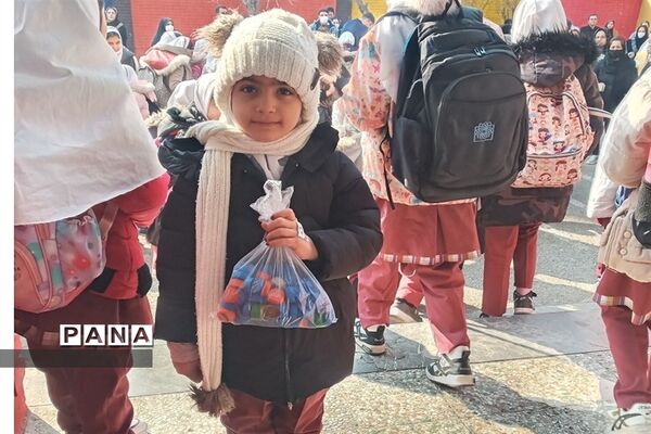 خرید یک ویلچر هدیه با جمع‌آوری درب بطری‌های پلاستیکی