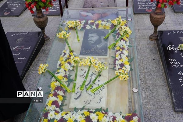 افتتاحیه طرح کشوری سردار شهید حاج همت در شهرستان شهرضا