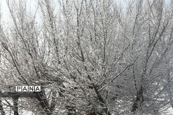 بارش سومین برف زمستانی چهره شهرستان بهاباد را سفید پوش کرد