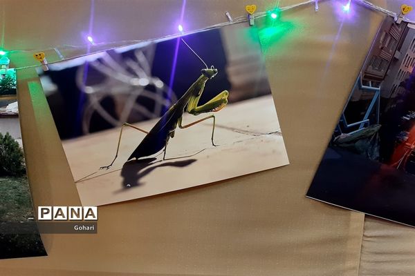 برگزاری نمایشگاه درون مدرسه‌ای در هنرستان معصومیه منطقه ۱۳