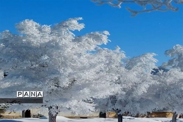 روز دل انگیز برفی در شهرستان بن