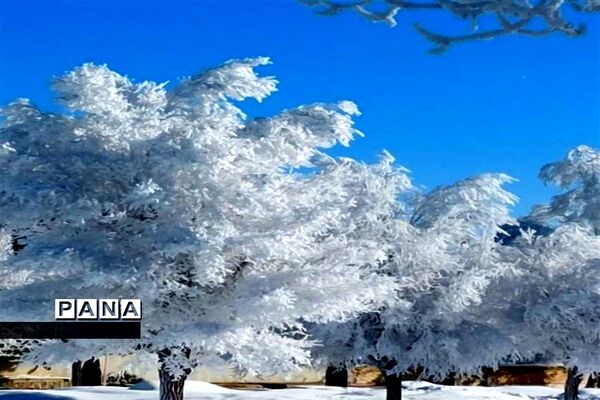 روز دل انگیز برفی در شهرستان بن