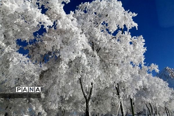 روز دل انگیز برفی در شهرستان بن