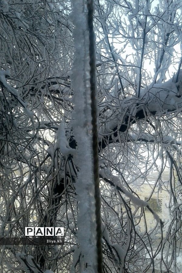 بارش سنگین برف در فارسان