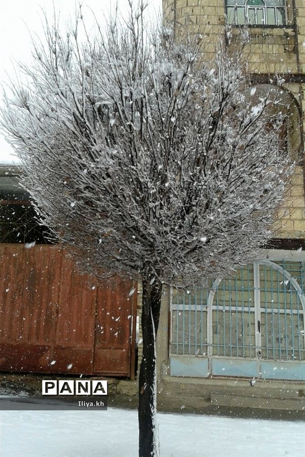 بارش سنگین برف در فارسان