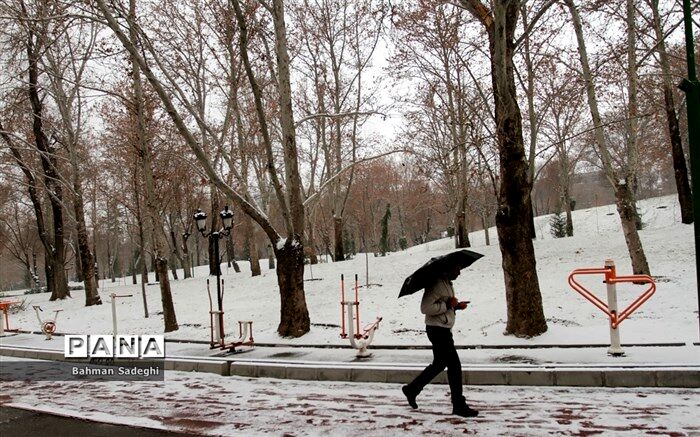 بارش برف و باران در تهران و خطر ریزش بهمن و کولاک برف در ارتفاعات