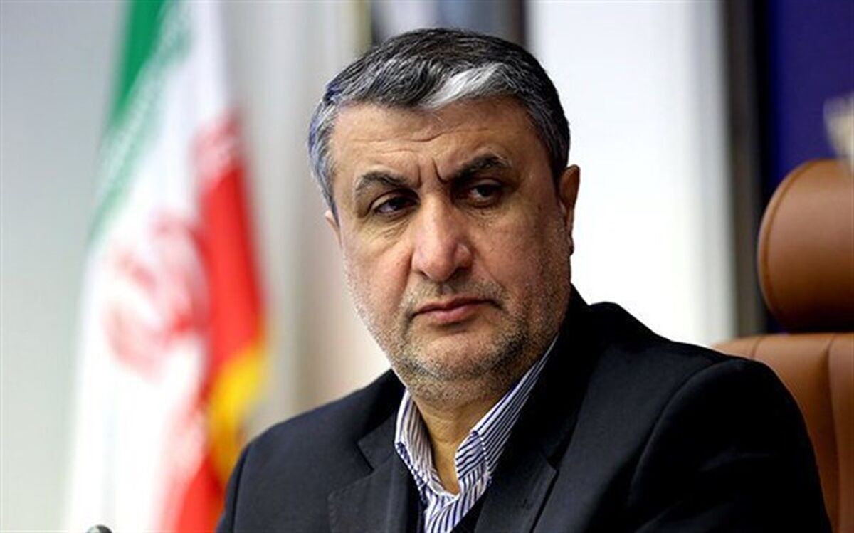 ارائه گزارش غلط بازرسان آژانس از تاسیسات ایران؛ اسلامی: رفتار آژانس غیرحرفه‌ای است