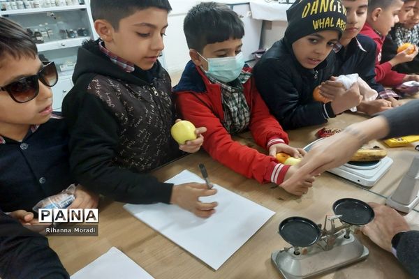 بازدید دانش‌آموزان ابتدایی دبستان سعدی یک از پژوهش‌سرای دانش‌آموزی