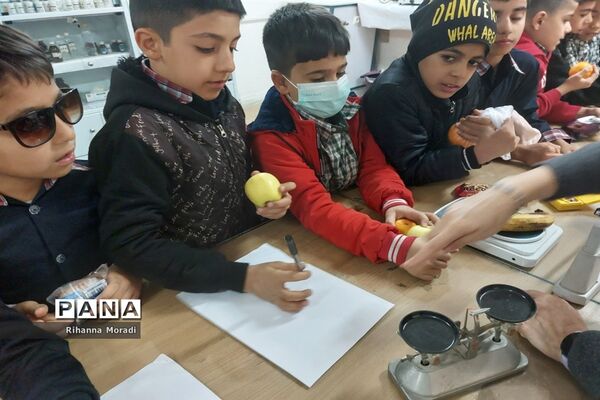 بازدید دانش‌آموزان ابتدایی دبستان سعدی یک از پژوهش‌سرای دانش‌آموزی