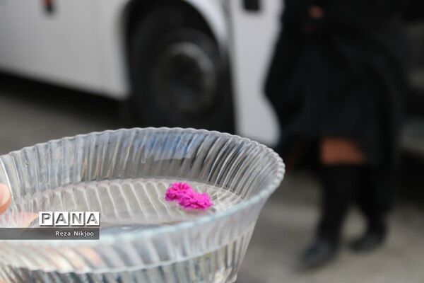 دانش‌آموزان بهارستانی راهی کربلای ایران شدند