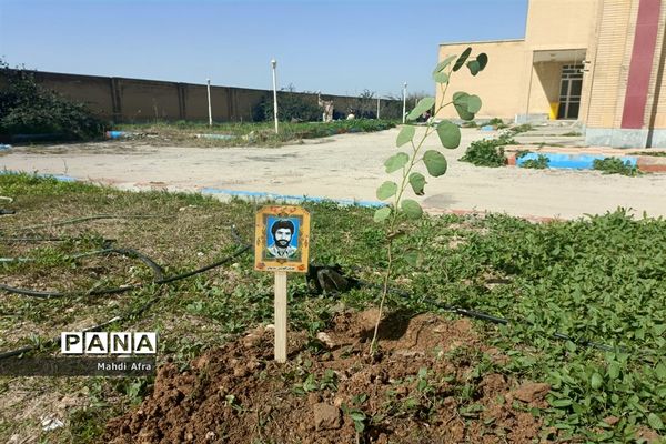کاشت ۱۱ نهال به یاد شهدای انقلاب شهرستان بهبهان