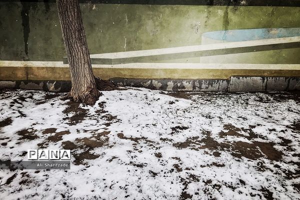 بارش برف زمستانی در تهران