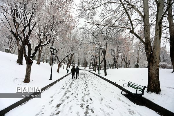 بارش برف زمستانی در تهران