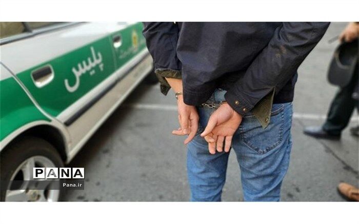 دستگیری عامل ارتباط با شبکه‌های معاند در نوشهر