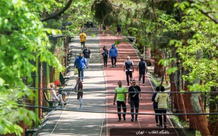 بارش برف مجموعه ورزشی انقلاب را تعطیل کرد