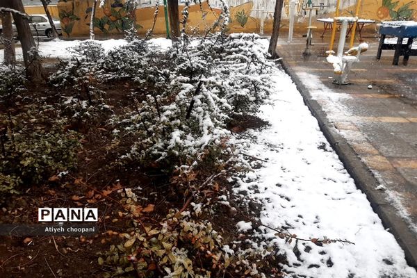 بارش برف تهران را سفید پوش کرد