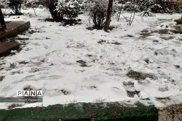 بارش برف تهران را سفید پوش کرد
