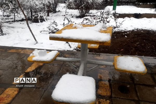 بارش برف تهران را سفید پوش کرد