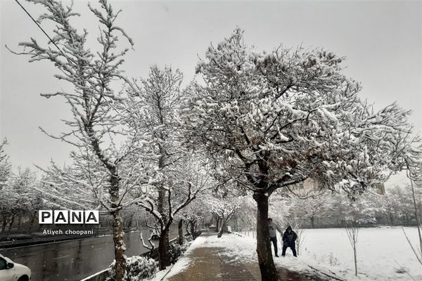 بارش برف تهران را سفید پوش کرد