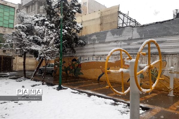 بارش برف تهران را سفید پوش کرد